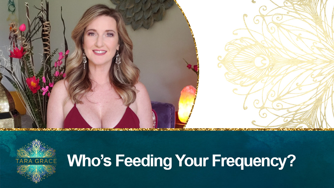 (VIDEO) Who is Feeding Your Frequency?